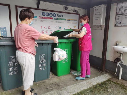 垃圾分類“十百千”行動 讓城市更文明，生活垃圾經營服務再升級