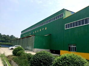 告別“一鍋燴” 渭南以“工業胃”分揀消化，探索生活垃圾資源化新路徑