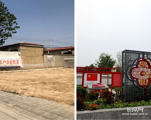 小屯村的美麗蛻變 垃圾不落地，農村更宜居